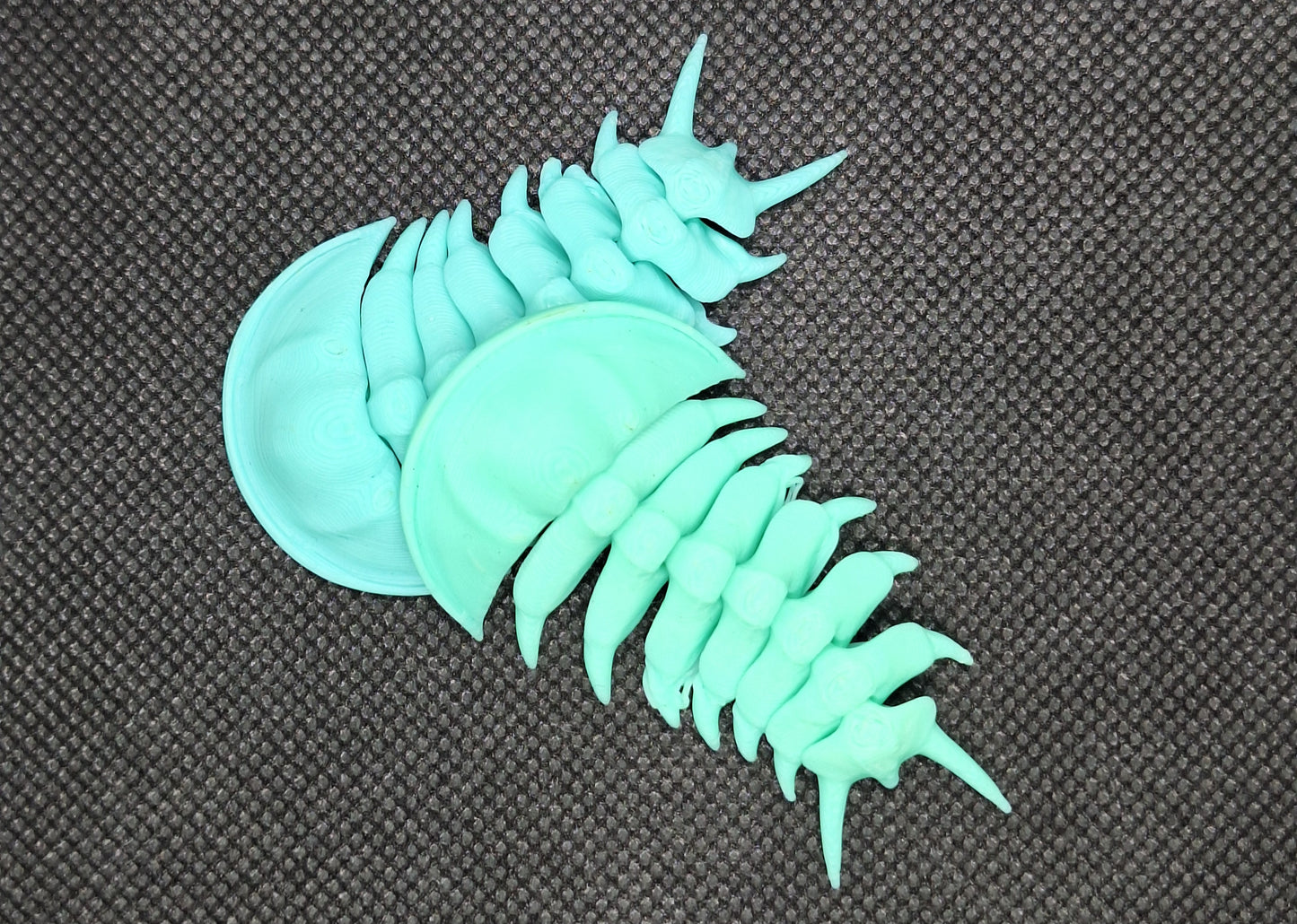 Trilobite